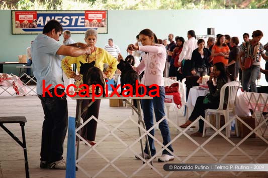 Clique sobre a foto para fechar